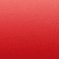 Rot