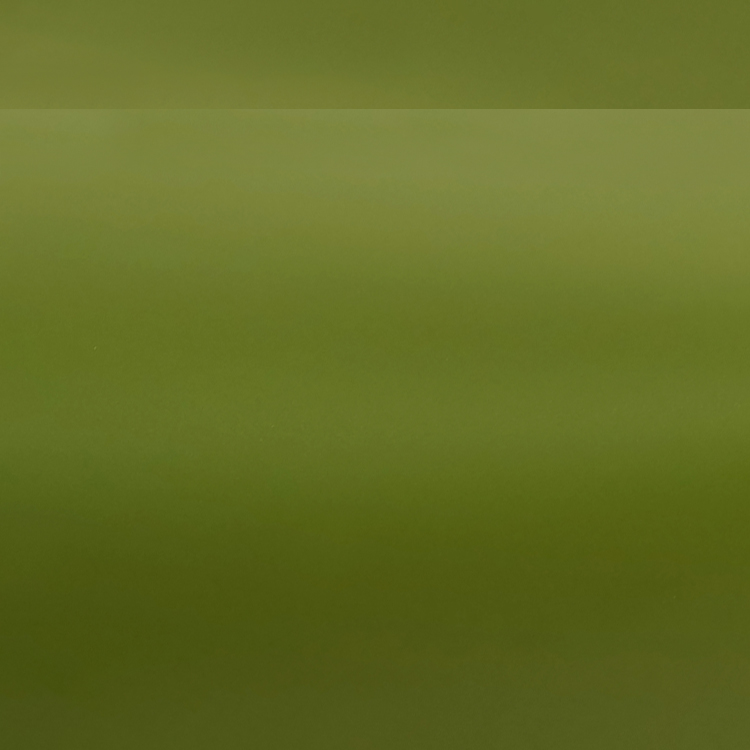 Oracal 631-493M Olive