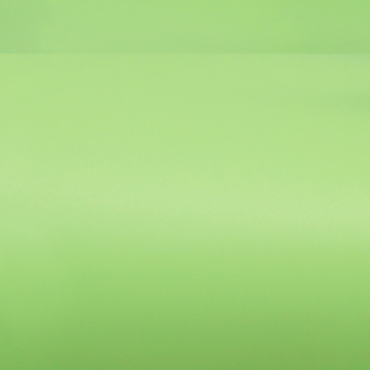 Oracal 631-495M Frühlingsgrün