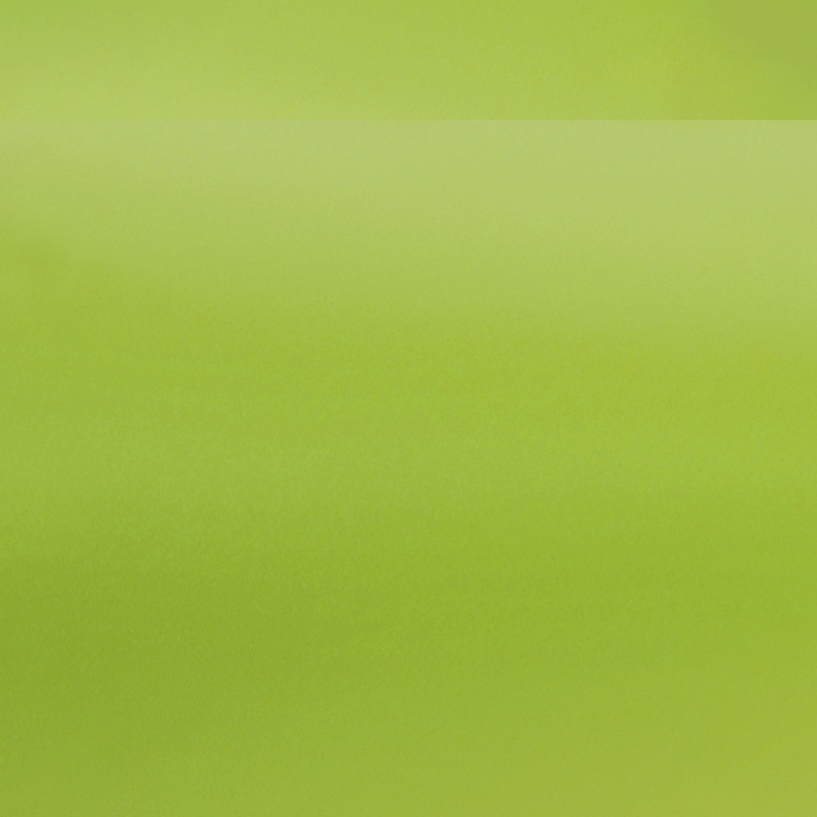 Oracal 631-622M Pastellgrün