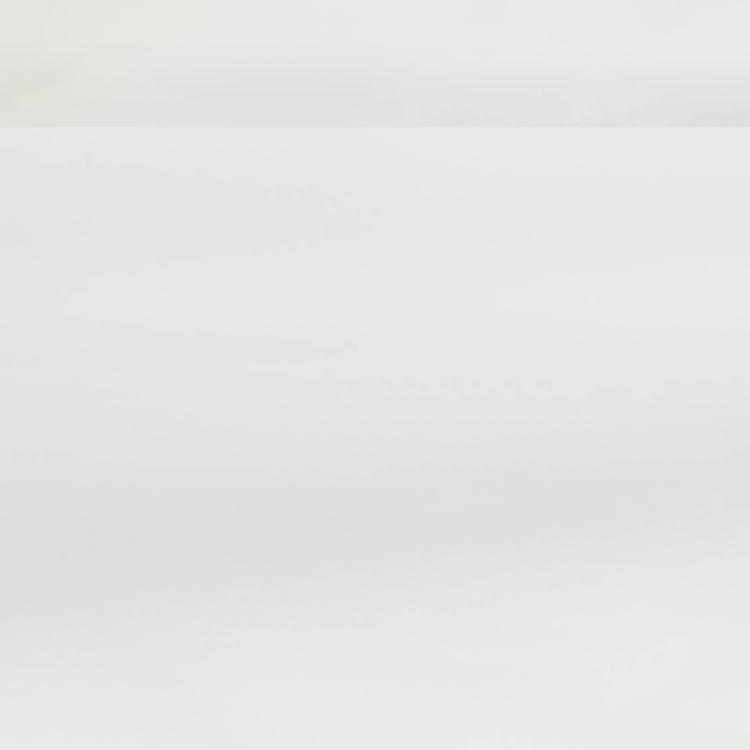 APA JP/R80.9 Satin Bianco Lumina (Rolle 25m)