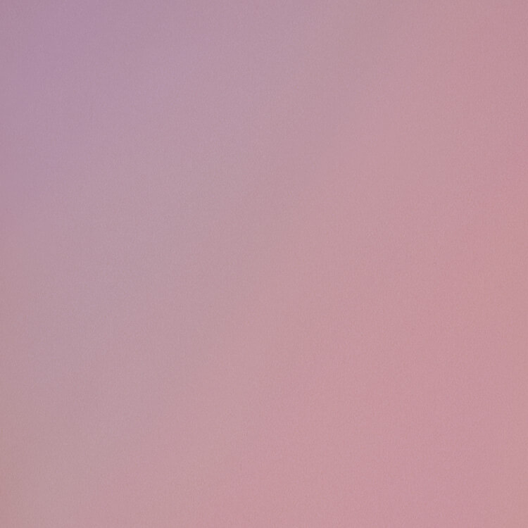 KOINTEC | Premium Glow Rose