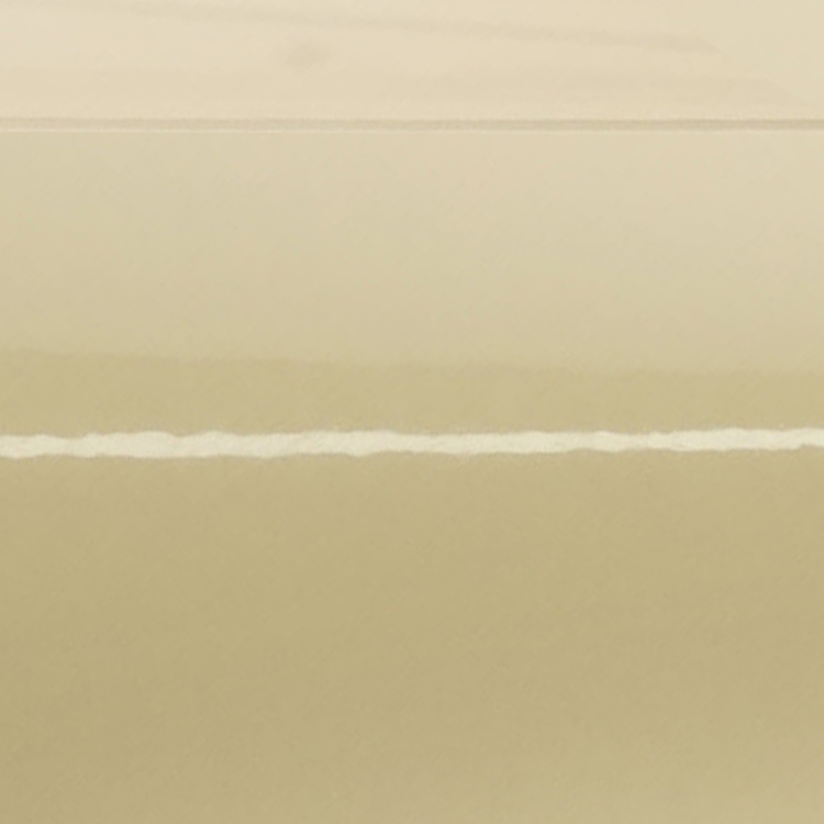 Oracal 970-809RA Taxibeige Glanz