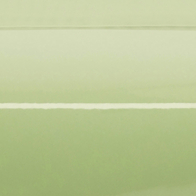 Avery SWF Gloss Light Pistachio