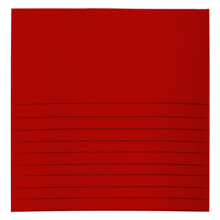 Wildlederfilz 10 Stück