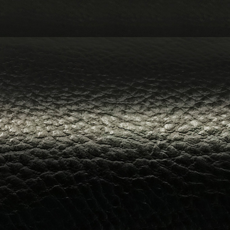 HEXIS HX30PG889B FGrain Leather Black Gloss
