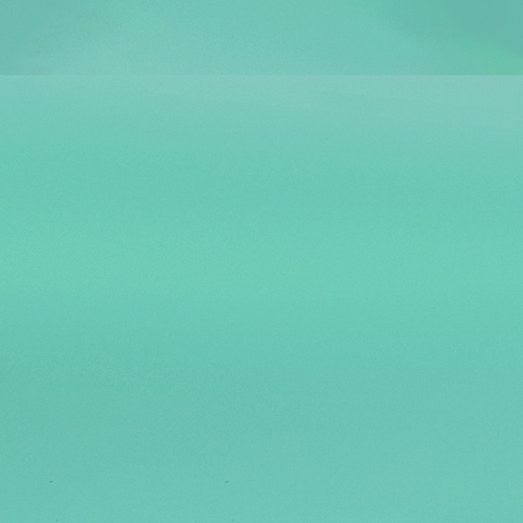 Oracal 631-055M Mint 