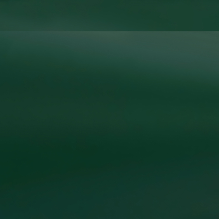 Oracal 631-060M Dunkelgrün