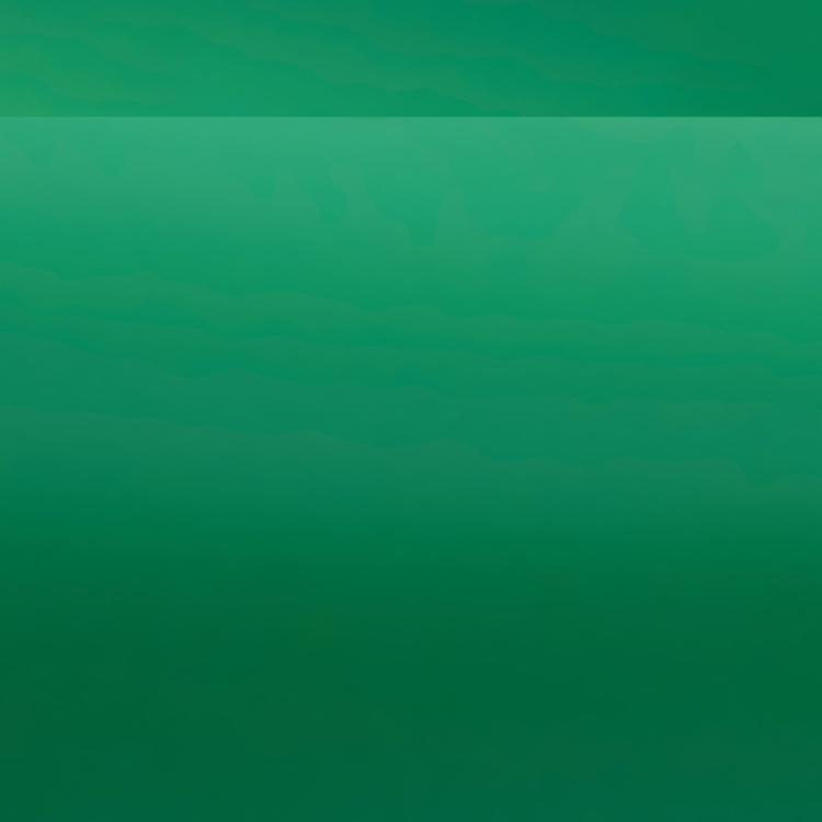 Oracal 631-061M Grün