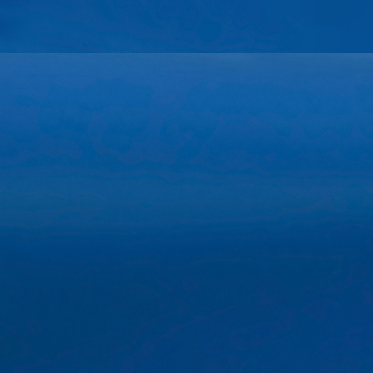 Oracal 631-098M Enzian