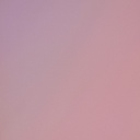 KOINTEC | Premium Glow Rose