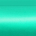 Oracal 970-055RA Mint Matt