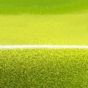 Oracal 970-183RA Sparkling Citrus Fury Glanz