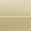 Oracal 970-809RA Taxibeige Glanz